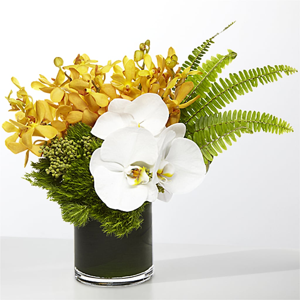 The Tropics –  Butterfly Flowers Usa, Jacksonville FL